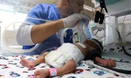 Dos bebés mueren por falta de electricidad en el hospital Al Shifa de Gaza