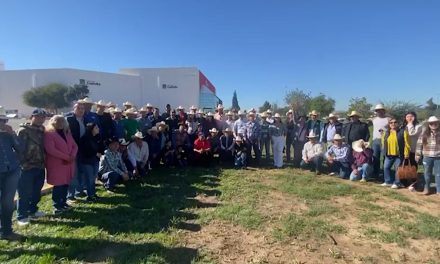 Sale una delegación al desfile revolucionario de México
