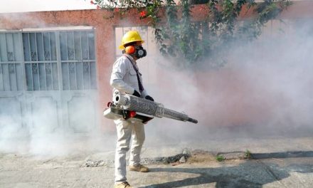 Fumigan espacios públicos para prevenir el dengue en Saltillo