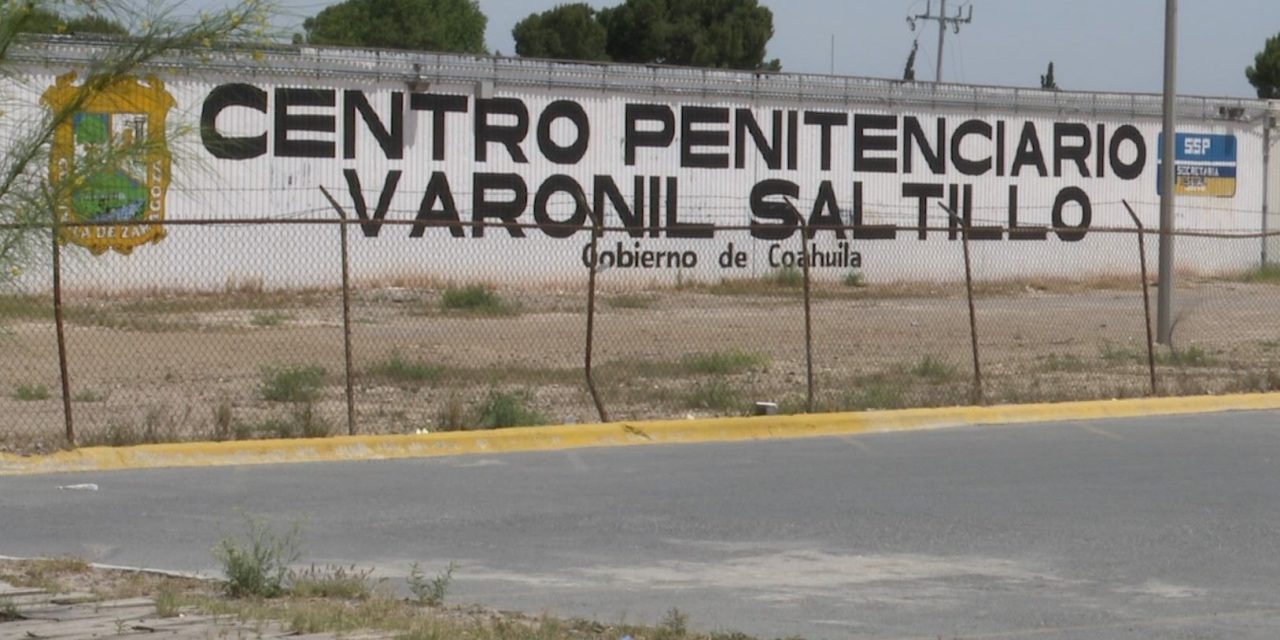 Liberan a ebrio que mató a perrito en Saltillo