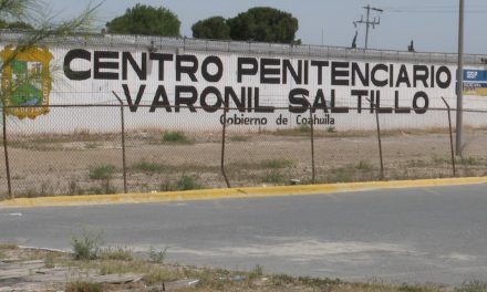Liberan a ebrio que mató a perrito en Saltillo
