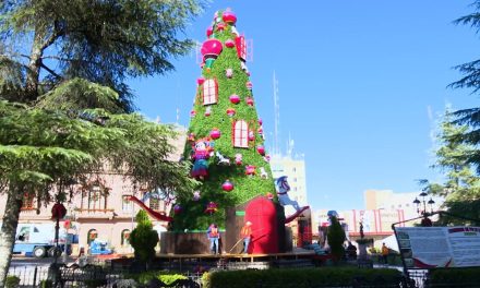 Paseo Capital se viste de Navidad
