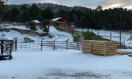 Nevadas en Chihuahua desatan alerta y medidas de prevención