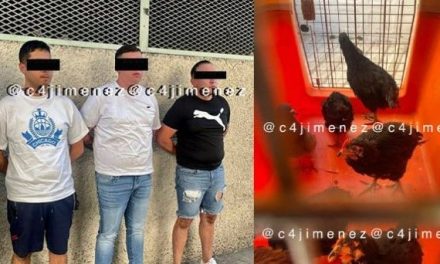 Grupo de santeros es detenido al ser descubiertos en posesión de los restos de un bebé en CDMX