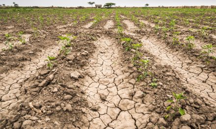 Sequía afecta a más del 70% del territorio nacional al término de la temporada de lluvias