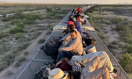 Pasan hasta 700 migrantes en ‘La Bestia’