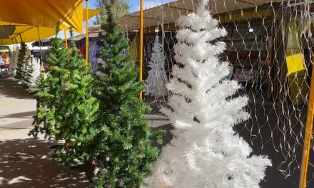 Abre mercado navideño en Saltillo
