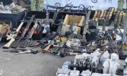 Decomisan enorme arsenal en Jalisco con 53,800 cartuchos útiles