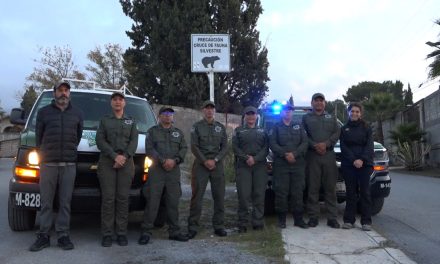 Coloca Policía Ambiental de Saltillo señalamientos para preservar osos