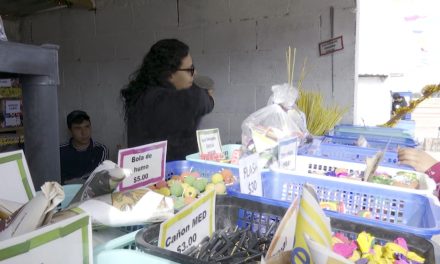 Disponen operativos contra venta clandestina de pirotecnia en Arteaga