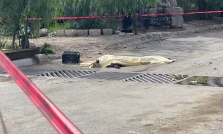 Dormía en la calle y muere atropellado en Saltillo