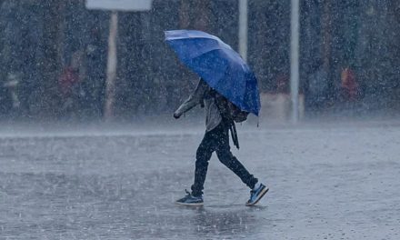 Lluvias mitigan sequía en varias regiones de México
