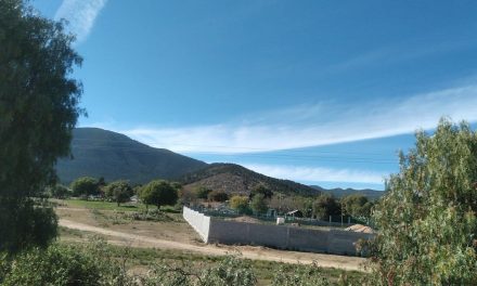 Habitantes del Ejido Cedritos de Arteaga piden ayuda al estar más de 15 días sin agua