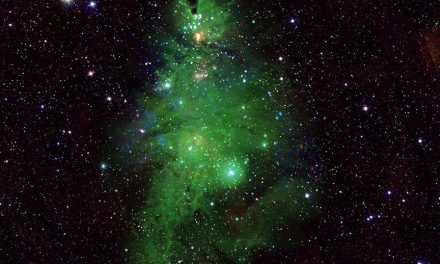 Capta la NASA un grupo de estrellas con forma de árbol de navidad