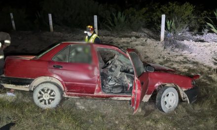 Oso atropellado ocasiona fatal choque en carretera a Zacatecas