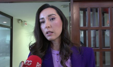 Quedaron temas pendiente en el congreso; afirma Lizbeth Ogazón