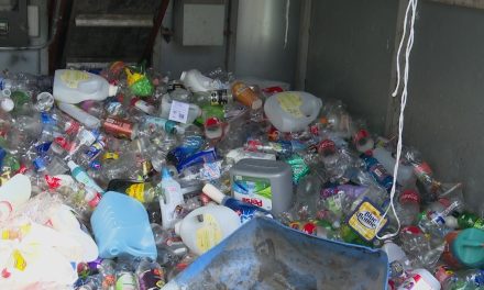 Reciclar para ganar… ayudemos a darle un respiro al planeta