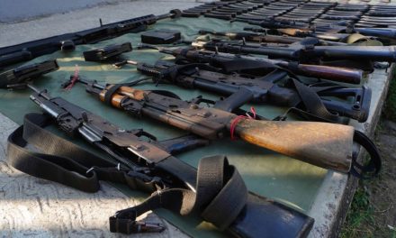 FGR llama a todos los estados a apoyar en la lucha contra el tráfico de armas