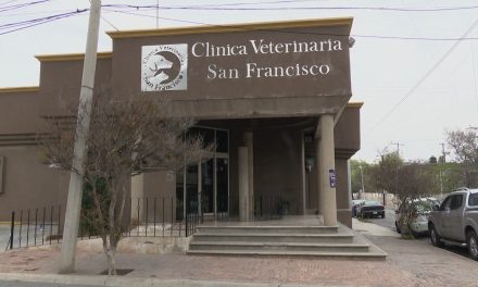 Saltillo: Giovanna y su familia exigen justicia para Bosco
