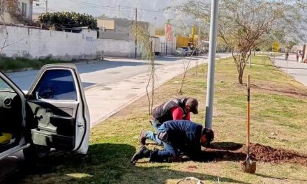 Dan mantenimiento a la Línea Verde en Torreón