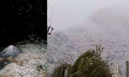 El frente frío 27 tiñe de blanco la zona citrícola de Nuevo León