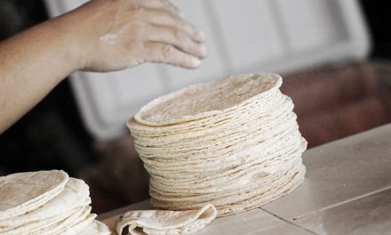 No habrá Incremento en el precio de la harina de maíz en 2024