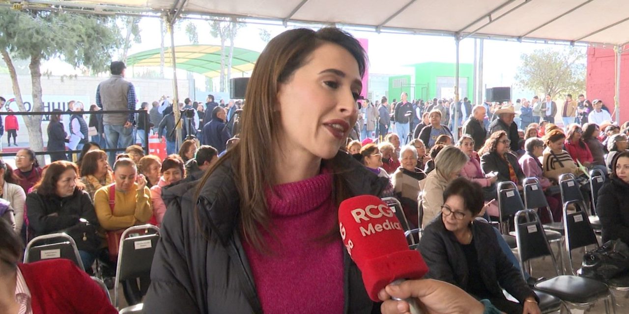 Abre Saltillo centros de acopio de pinos navideños