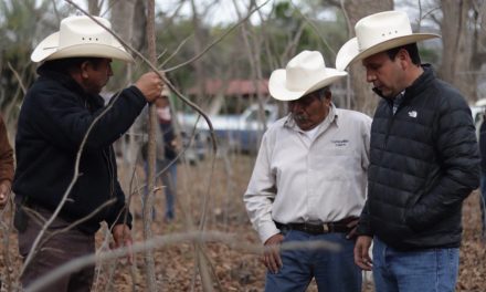 Donarán plantas de nogal hasta febrero en beneficio de las familias de Parras de la Fuente