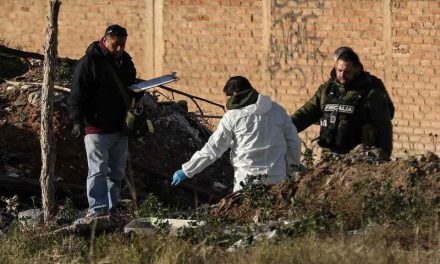 Perros pasean con restos humanos en calles de Zacatecas