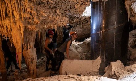 Ecologistas denuncian daños del Tren Maya en cuevas de Yucatán