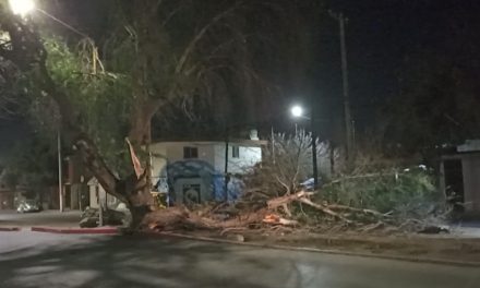 Gobierno de Saltillo se mantiene al pendiente de las condiciones climáticas