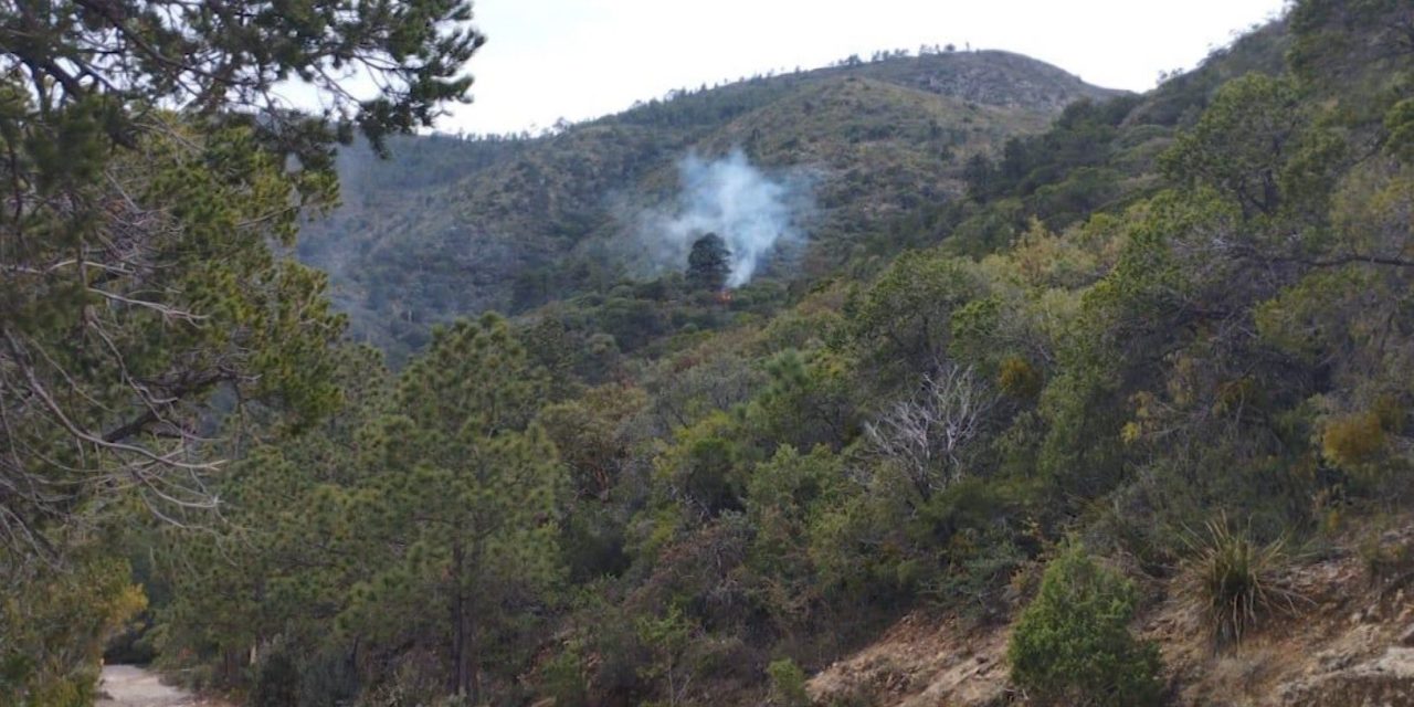 Sofocan incendio en la Sierra de Zapalinamé