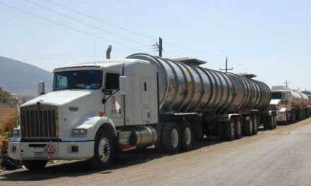 Transportistas harán paro nacional ante la ola de asaltos
