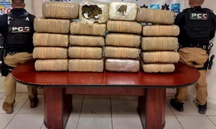 Policía Civil Coahuila decomisa droga en Múzquiz