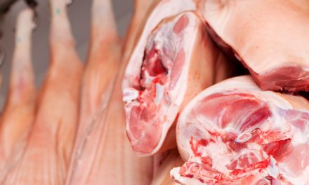Bajó precio de la carne de puerco
