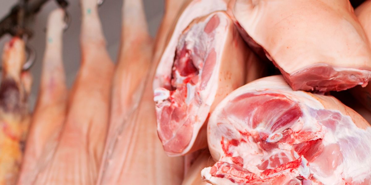 Bajó precio de la carne de puerco
