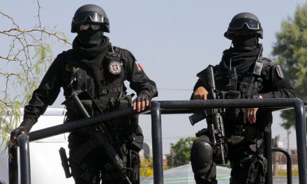 Autoridades combaten el trasiego de droga en Coahuila