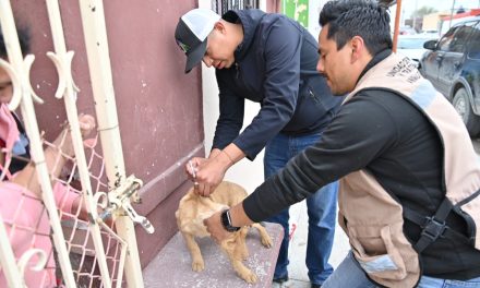 Aplican vacuna antirrábica a mascotas en Acuña