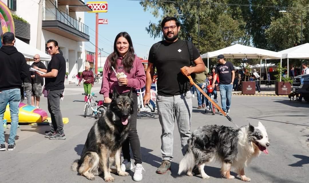 Carrera de la Constitución estará en el Paseo Colón