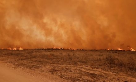 Más de 500,000 acres arrasados en 48 horas por incendios en Texas