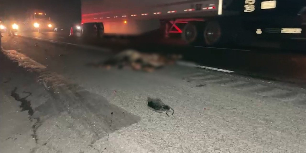 Localizan cuerpo destrozado sobre la carretera Monterrey-Saltillo