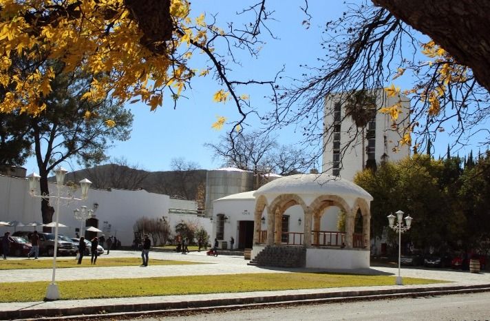 Arranca obra integral en colonia Palmeras de Parras