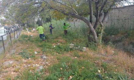 Retiran 399 toneladas de desechos en arroyos en Saltillo