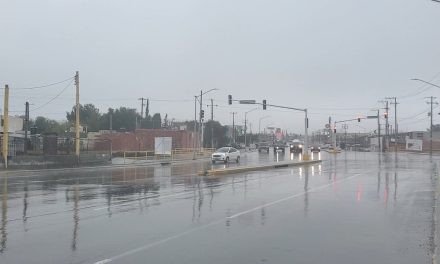 Se reportan incidencias menores en todo el estado tras lluvias