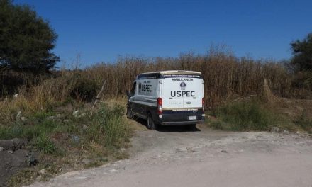 Encuentran en Tarímbaro, Michoacán 11 cuerpos en fosas clandestinas