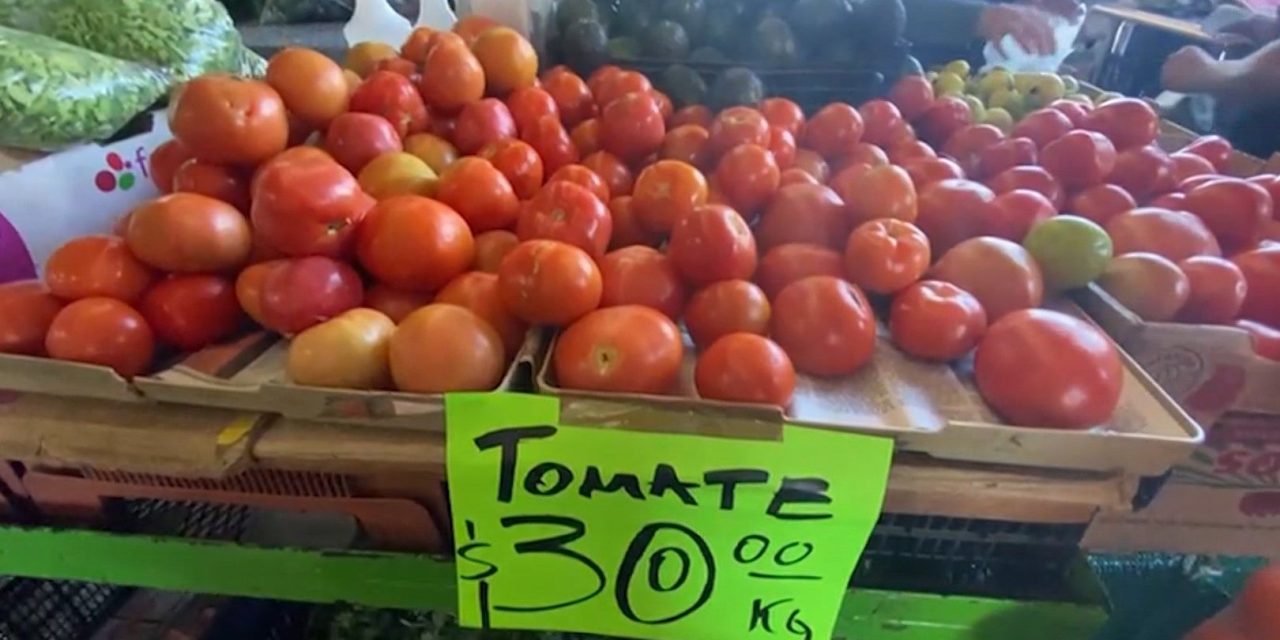 El tomate recupera su precio regular en Saltillo