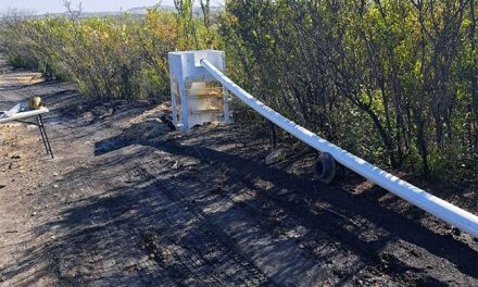 Denuncian contaminación del río Álamos