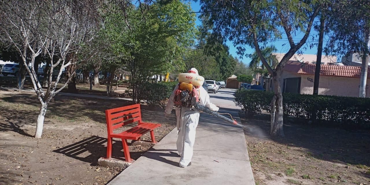 Recolectan cacharros para prevenir enfermedades