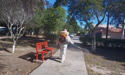 Recolectan cacharros para prevenir enfermedades
