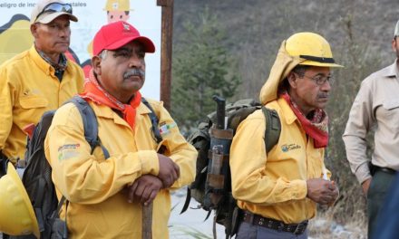 Hacen llamado para prevenir incendios forestales